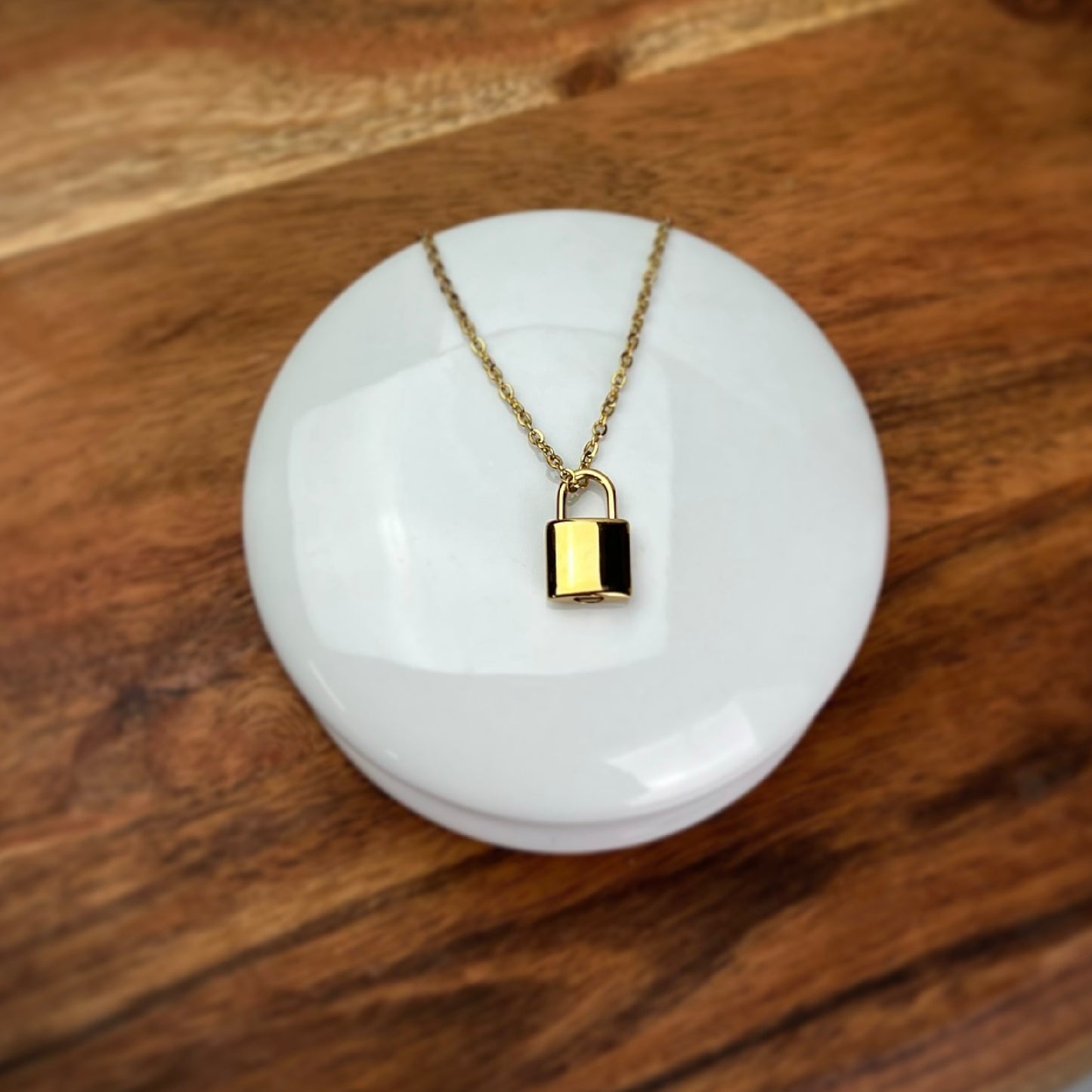 Cremation Necklace | Pet Urn Jewelry | Lock Pendant Urn Necklace
